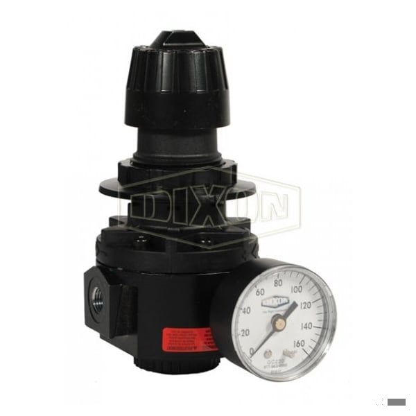 Wilkerson by Relieving Standard Regulator with GC230 Gauge, 3/8 in NPT/BSPP-G, 148 SCFM Flow Rate
